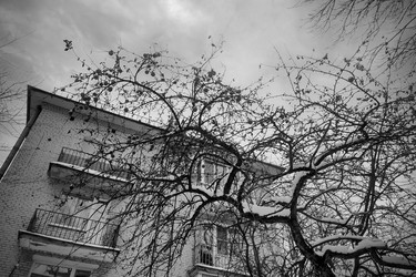 Similar image 22006633