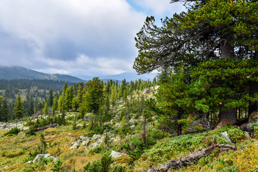 Similar image 22007092