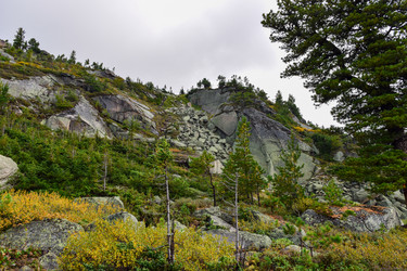 Similar image 22007093