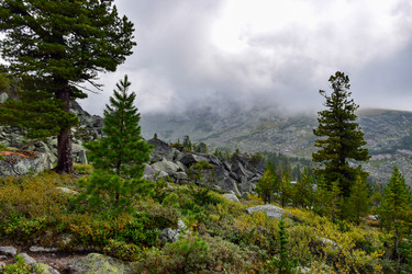 Similar image 22007095