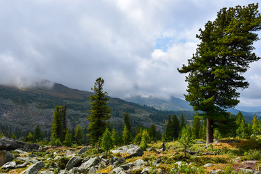 Similar image 22007099