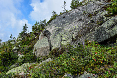 Similar image 22007100