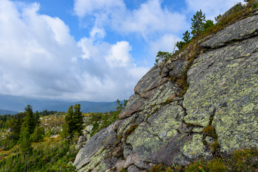 Similar image 22007102