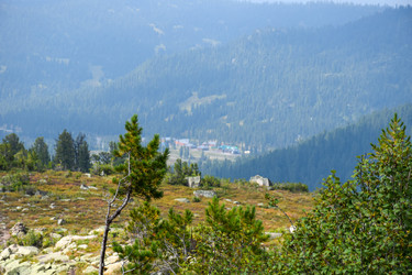 Similar image 22007103