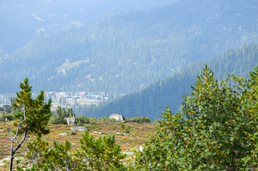 Similar image 22007104