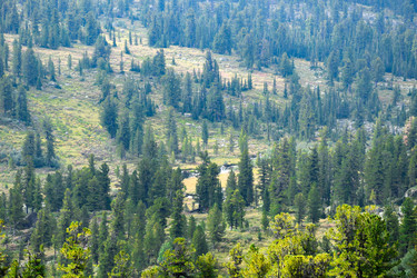 Similar image 22007105