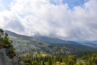 Similar image 22007106