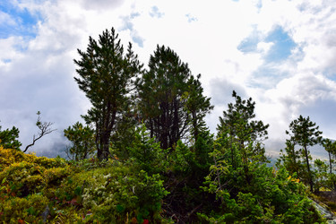 Similar image 22007107