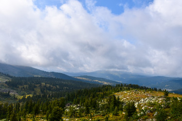 Similar image 22007108