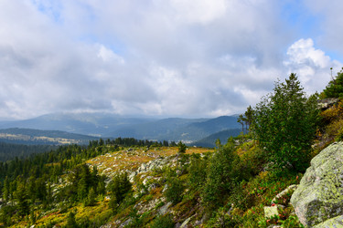 Similar image 22007109