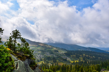 Similar image 22007110