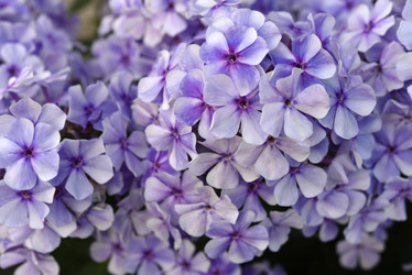 Similar image 22007266