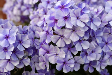 Similar image 22007267