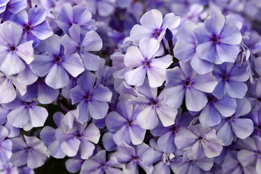 Similar image 22007268