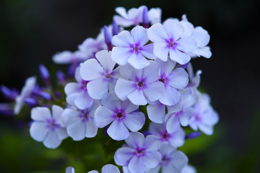 Similar image 22007269