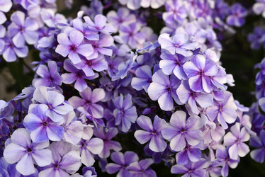 Similar image 22007271