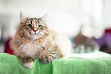 Similar image 22009164