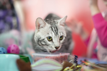 Similar image 22009168