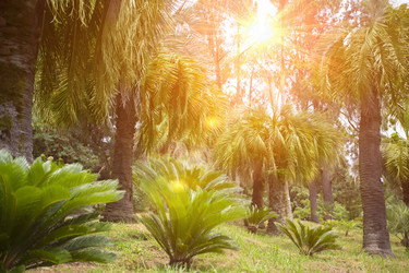 Similar image 22009170