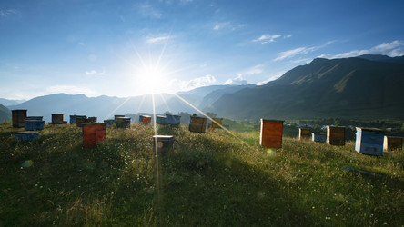 Similar image 22009420