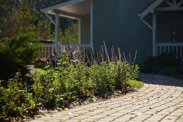 Similar image 22013941