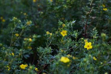 Similar image 22013990