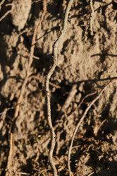 Similar image 22013996