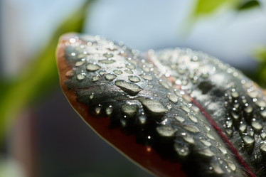 Similar image 22014000