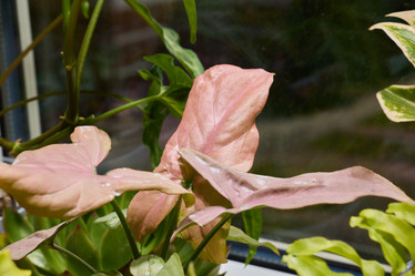 Similar image 22014007