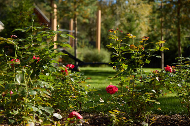 Similar image 22014010