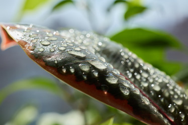 Similar image 22014013