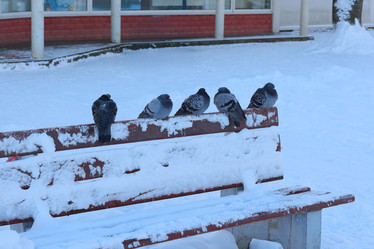 Similar image 22014021