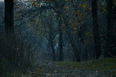 Similar image 22015076