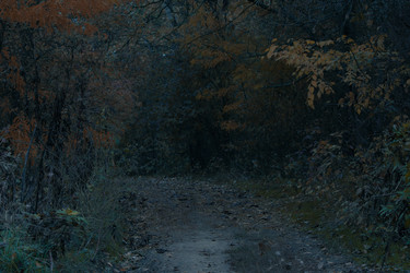 Similar image 22015077