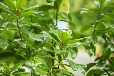 Similar image 22009609