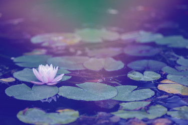 Similar image 22009611