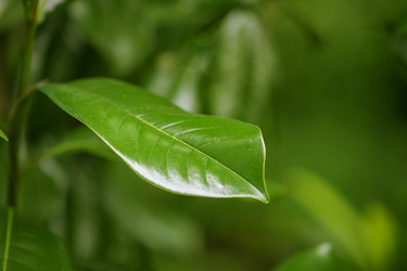 Similar image 22009614