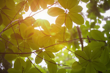 Similar image 22009628