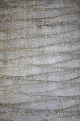 Similar image 22009640