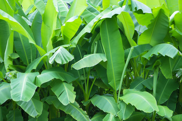 Similar image 22009641