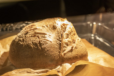 Similar image 22008900