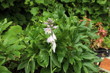 Similar image 22006644