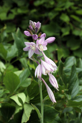 Similar image 22006645