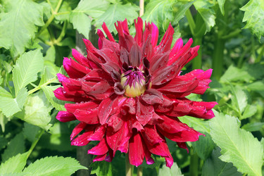 Similar image 22006646