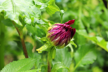 Similar image 22006647