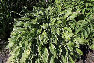 Similar image 22006648