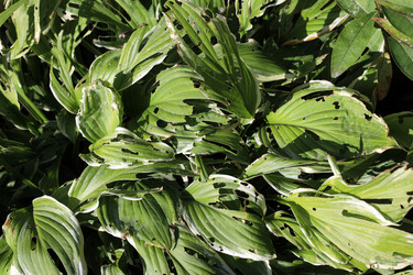 Similar image 22006649