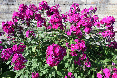 Similar image 22006651