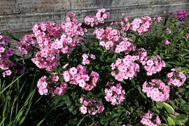 Similar image 22006652