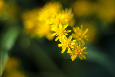 Similar image 22007115